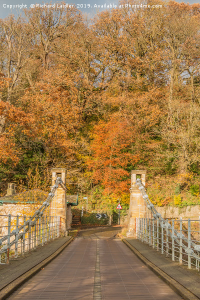 Whorlton Bridge, Teesdale, in Autumn Picture Board by Richard Laidler