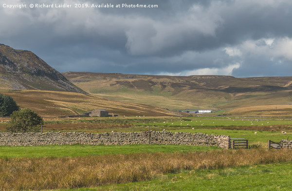 Cronkley Scar and Widdybank Fell, Upper Teesdale Picture Board by Richard Laidler