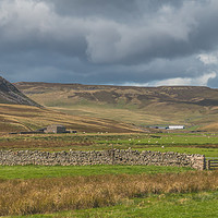 Buy canvas prints of Cronkley Scar and Widdybank Fell, Upper Teesdale by Richard Laidler