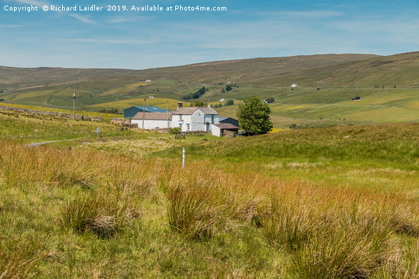 Peghorn Lodge Farm, Harwood, Upper Teesdale Picture Board by Richard Laidler