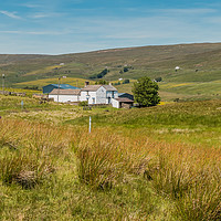 Buy canvas prints of Peghorn Lodge Farm, Harwood, Upper Teesdale by Richard Laidler