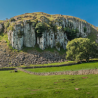 Buy canvas prints of Holwick Scar Panorama by Richard Laidler