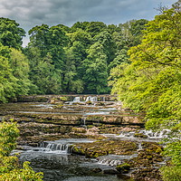 Buy canvas prints of Aysgarth Upper Falls, Yorkshire Dales, Panorama by Richard Laidler