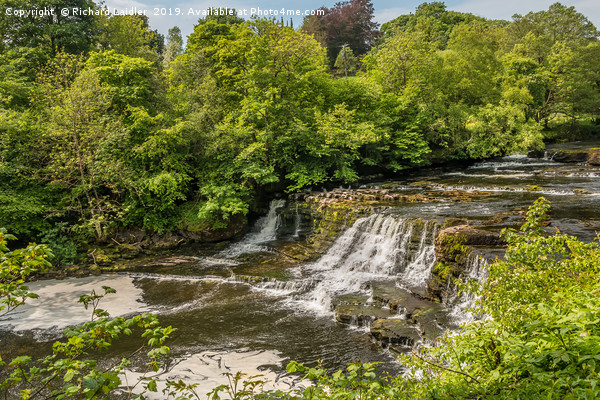  Aysgarth Middle Falls, Yorkshire Dales Picture Board by Richard Laidler