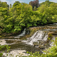 Buy canvas prints of  Aysgarth Middle Falls, Yorkshire Dales by Richard Laidler