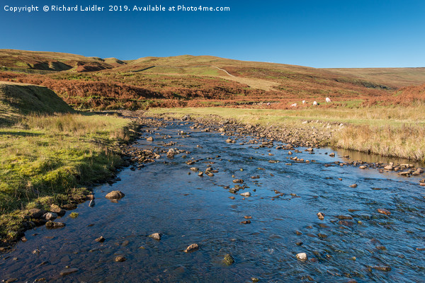 North Pennines Moorland Stream Picture Board by Richard Laidler