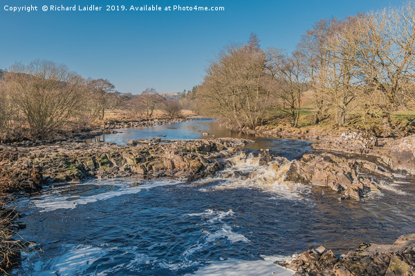 The River Tees near Forest in Teesdale Picture Board by Richard Laidler