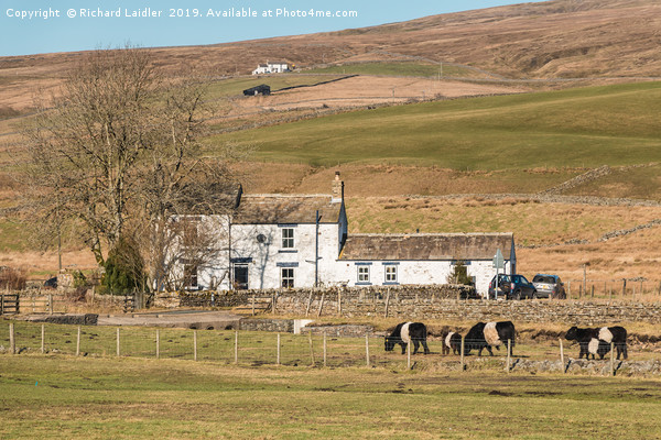 Low End Farm, Harwood, Upper Teesdale Picture Board by Richard Laidler