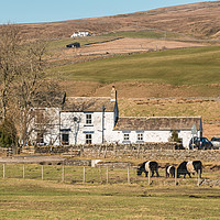 Buy canvas prints of Low End Farm, Harwood, Upper Teesdale by Richard Laidler