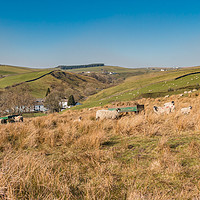 Buy canvas prints of Ettersgill, Upper Teesdale by Richard Laidler