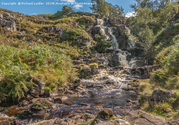 Blea Beck Force Waterfall, Upper Teesdale Picture Board by Richard Laidler