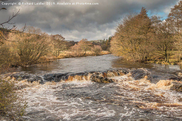 The River Tees near Forest in Teesdale, November Picture Board by Richard Laidler