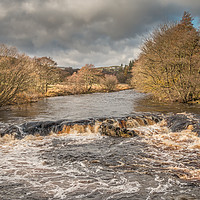 Buy canvas prints of The River Tees near Forest in Teesdale, November by Richard Laidler