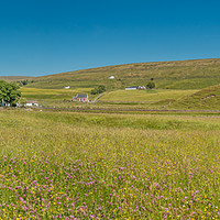 Buy canvas prints of Teesdale Hay Meadows Panorama by Richard Laidler