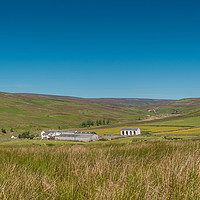 Buy canvas prints of Middle End Farm, Great Eggleshope, Teesdale by Richard Laidler