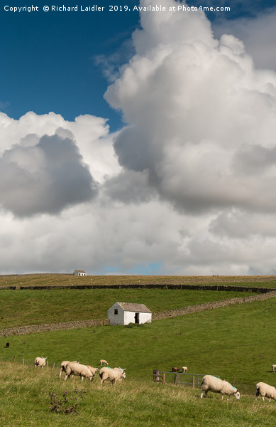 Big Sky and Bowlees Barns Picture Board by Richard Laidler