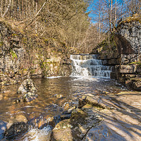 Buy canvas prints of Bow Lee Beck Waterfall, Upper Teesdale by Richard Laidler