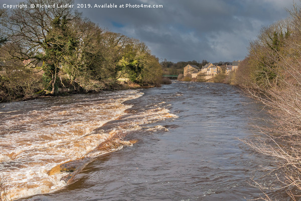 A swollen River Tees at Barnard Castle, Teesdale Picture Board by Richard Laidler