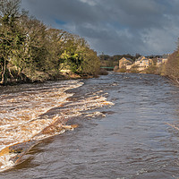 Buy canvas prints of A swollen River Tees at Barnard Castle, Teesdale by Richard Laidler
