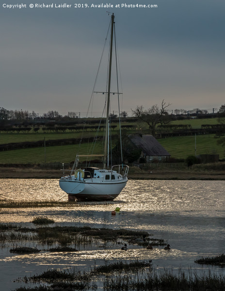 Winter Mooring, Alnmouth Harbour, Northumberland Picture Board by Richard Laidler