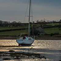 Buy canvas prints of Winter Mooring, Alnmouth Harbour, Northumberland by Richard Laidler