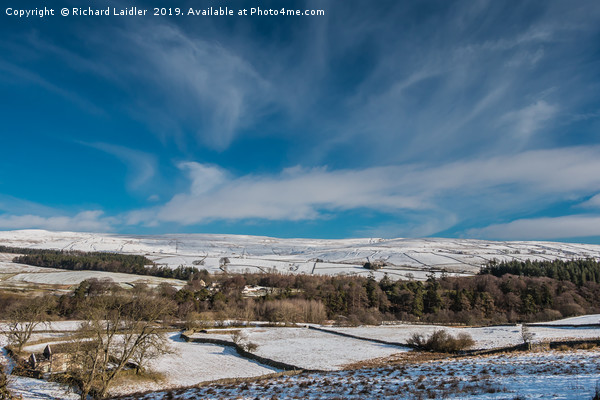 Winter at Bowlees, Teesdale Picture Board by Richard Laidler