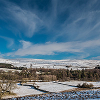 Buy canvas prints of Winter at Bowlees, Teesdale by Richard Laidler