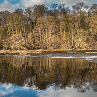 Buy canvas prints of River Tees at Wycliffe Panorama by Richard Laidler