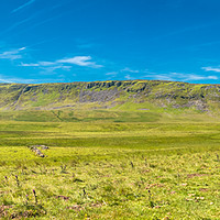 Buy canvas prints of Cronkley Fell and Scar, Upper Teesdale, Panorama  by Richard Laidler