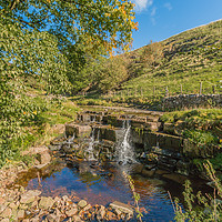 Buy canvas prints of Autumn Tints, Ettersgill Beck, Teesdale by Richard Laidler