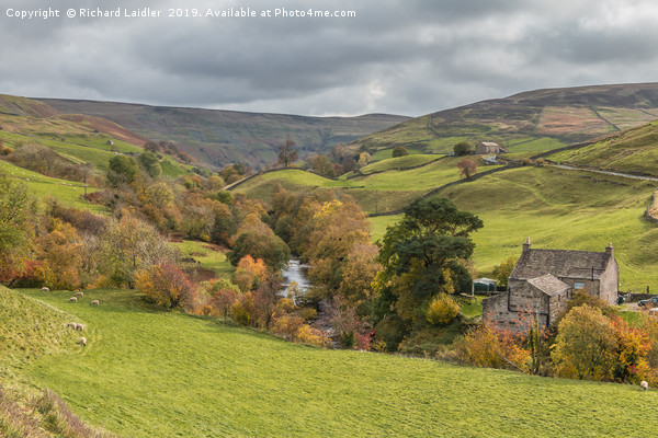 Park House, Upper Swaledale, Yorkshire Dales Picture Board by Richard Laidler
