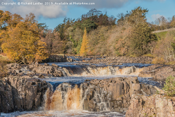 Autumn at Low Force Waterfall, Teesdale Picture Board by Richard Laidler