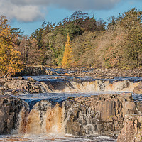 Buy canvas prints of Autumn at Low Force Waterfall, Teesdale by Richard Laidler