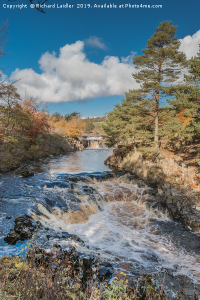 Autumn at Low Force Waterfall, Teesdale Picture Board by Richard Laidler
