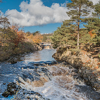 Buy canvas prints of Autumn at Low Force Waterfall, Teesdale by Richard Laidler