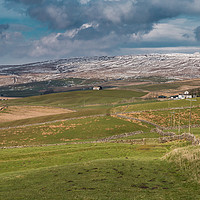 Buy canvas prints of Harwood, Upper Teesdale in April by Richard Laidler