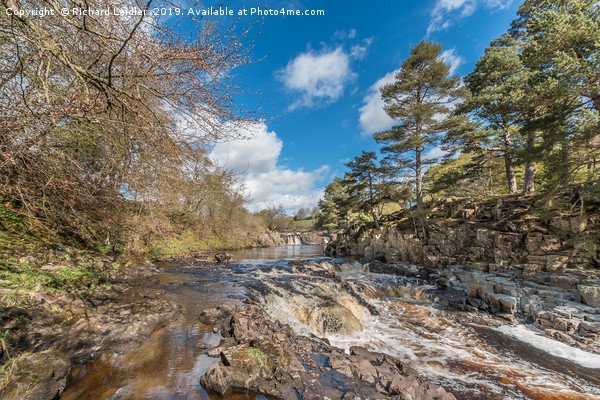 Low Force Waterfall, Upper Teesdale, in Spring Picture Board by Richard Laidler