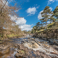 Buy canvas prints of Low Force Waterfall, Upper Teesdale, in Spring by Richard Laidler