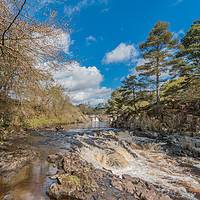 Buy canvas prints of Springtime at Low Force Waterfall, Upper Teesdale by Richard Laidler
