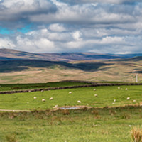 Buy canvas prints of Upper Teesdale Panorama  by Richard Laidler