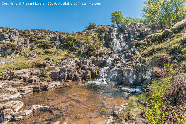 Spring at Blea Beck Force Waterfall, Teesdale Picture Board by Richard Laidler