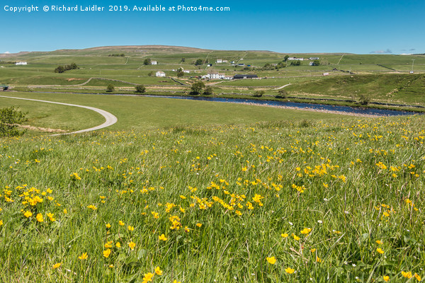 Spring Meadow at Cronkley, Upper Teesdale Picture Board by Richard Laidler
