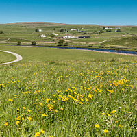 Buy canvas prints of Spring Meadow at Cronkley, Upper Teesdale by Richard Laidler