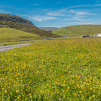 Buy canvas prints of Flowering Hay Meadows at Widdybank Farm by Richard Laidler