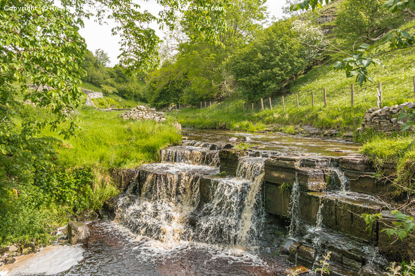 Summer at Ettersgill Beck, Teesdale Picture Board by Richard Laidler