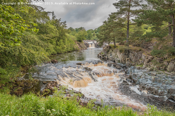 Low Force Waterfall on the Summer Solstice 1 Picture Board by Richard Laidler