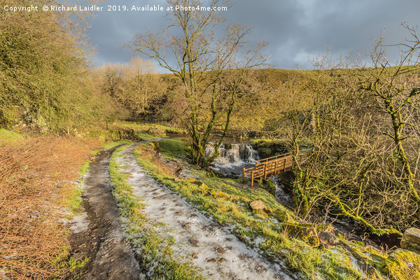 Winter Sunshine on Ettersgill Beck Picture Board by Richard Laidler
