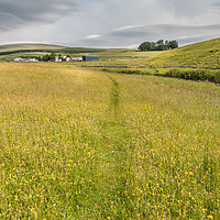Buy canvas prints of Flowering Hay Meadows at Langdon Beck, Teesdale by Richard Laidler