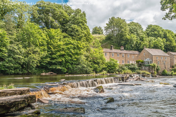 The River Tees and Demesnes Mill, Barnard Castle Picture Board by Richard Laidler