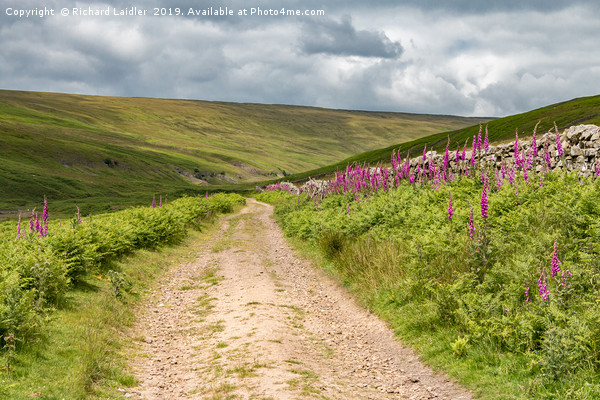 Track to Hudeshope Head, Teesdale Picture Board by Richard Laidler